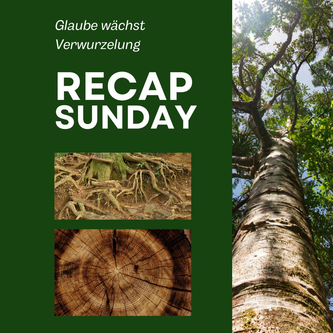 images/bilder/Staaken_2026/Recaps/2026-02-15_Recap.jpg#joomlaImage://local-images/bilder/Staaken_2026/Recaps/2026-02-15_Recap.jpg?width=1080&height=1080