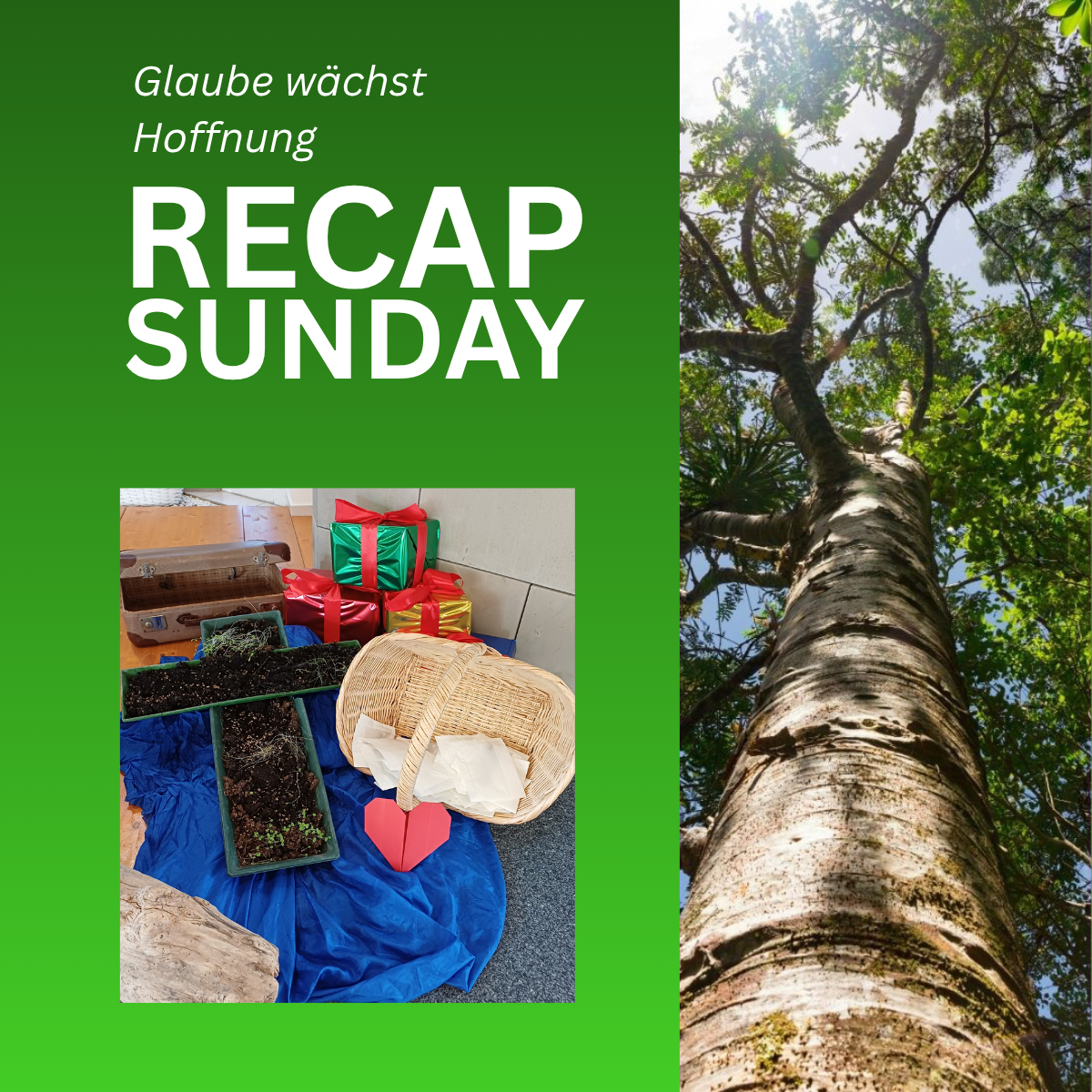 images/bilder/Staaken_2026/Recaps/2026-03-22_Recap__.png#joomlaImage://local-images/bilder/Staaken_2026/Recaps/2026-03-22_Recap__.png?width=1200&height=1200